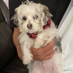 Meet your Posher, Tyler